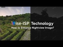 Owl View- Colour Technology