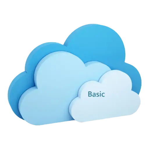 HOSTING - BASIC