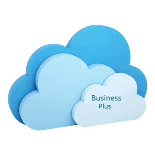 HOSTING - BUSINESS PLUS