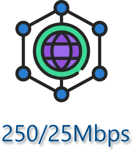 Internet Business - 250/25Mbps