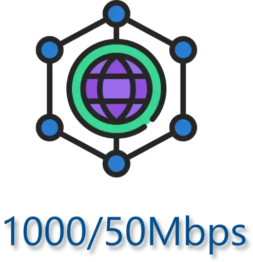 Internet Business - 1000/50Mbps