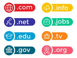 DOMAIN NAME REGISTRATION / TRANSFER